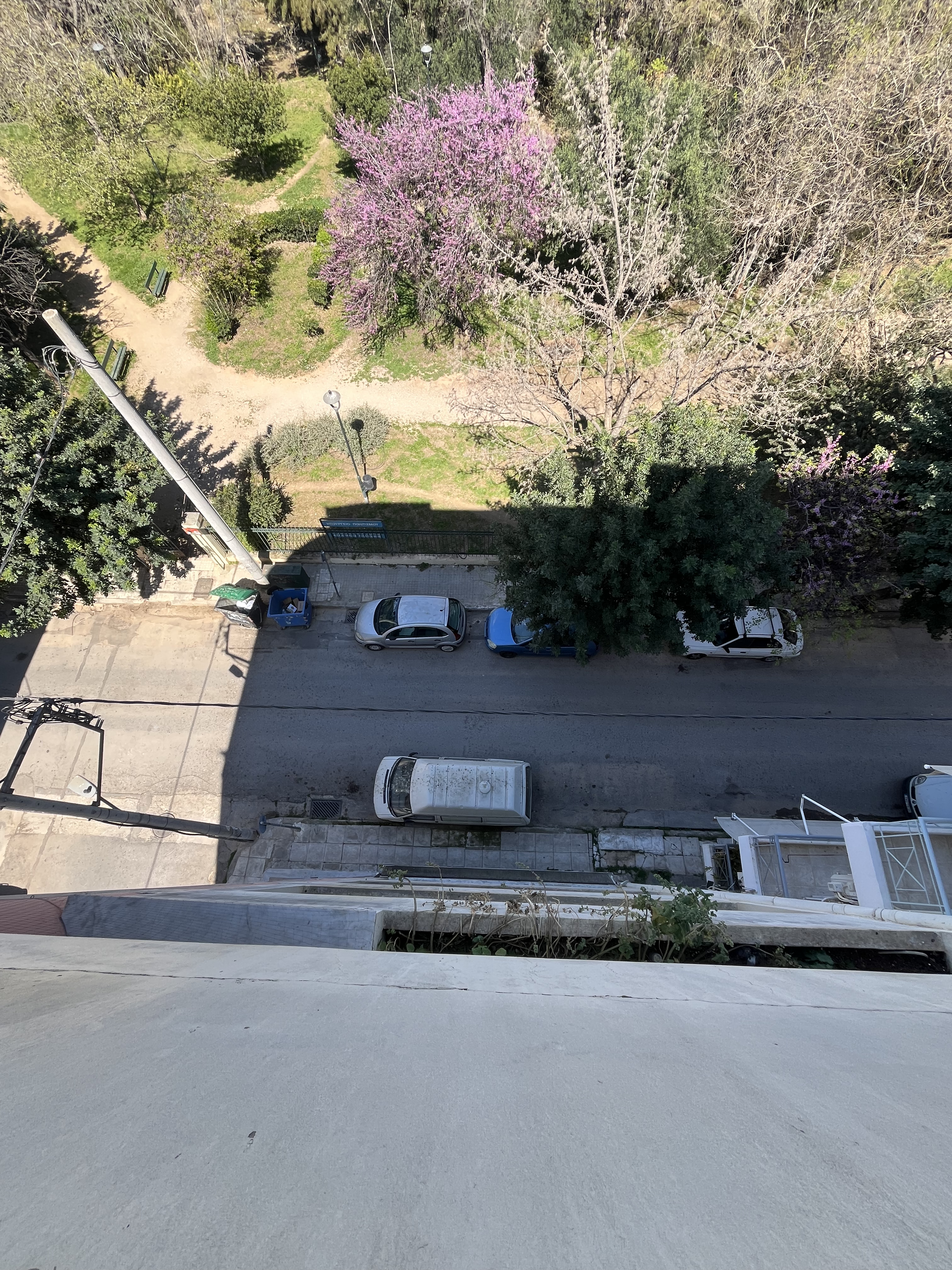 Ακαδημία Πλάτωνος — Φωτογραφία έργου 4